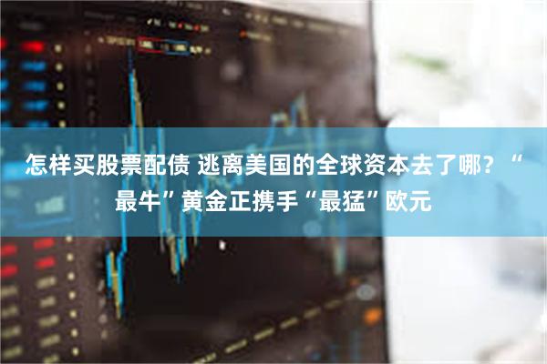 怎样买股票配债 逃离美国的全球资本去了哪？“最牛”黄金正携手“最猛”欧元