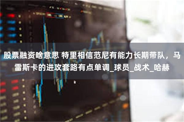 股票融资啥意思 特里相信范尼有能力长期带队，马雷斯卡的进攻套路有点单调_球员_战术_哈赫