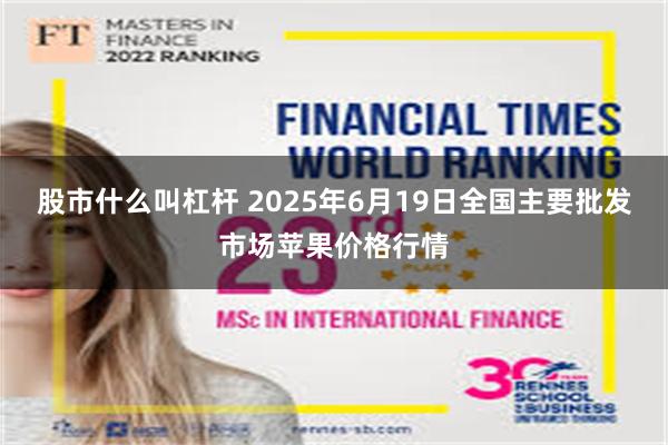 股市什么叫杠杆 2025年6月19日全国主要批发市场苹果价格行情