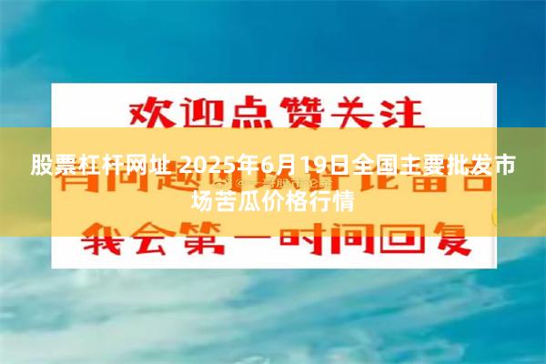 股票杠杆网址 2025年6月19日全国主要批发市场苦瓜价格行情