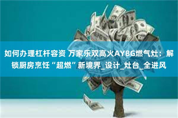 如何办理杠杆容资 万家乐双高火AY8G燃气灶：解锁厨房烹饪“超燃”新境界_设计_灶台_全进风