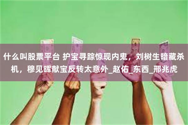 什么叫股票平台 护宝寻踪惊现内鬼，刘树生暗藏杀机，穆见晖献宝反转太意外_赵佑_东西_邢兆虎