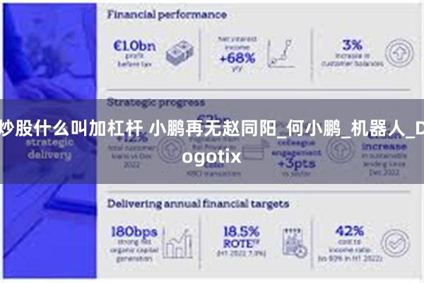 炒股什么叫加杠杆 小鹏再无赵同阳_何小鹏_机器人_Dogotix