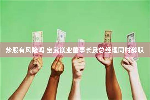 炒股有风险吗 宝武镁业董事长及总经理同时辞职