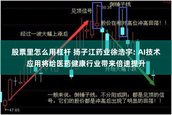 股票里怎么用杠杆 扬子江药业徐浩宇: AI技术应用将给医药健康行业带来倍速提升