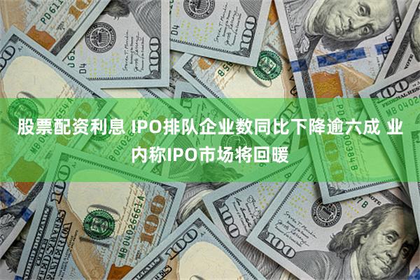 股票配资利息 IPO排队企业数同比下降逾六成 业内称IPO市场将回暖