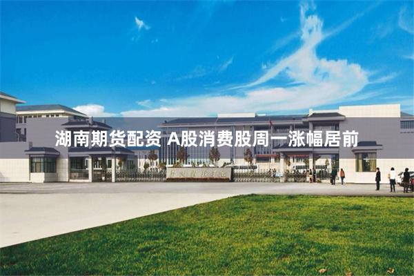 湖南期货配资 A股消费股周一涨幅居前