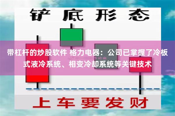 带杠杆的炒股软件 格力电器：公司已掌握了冷板式液冷系统、相变冷却系统等关键技术