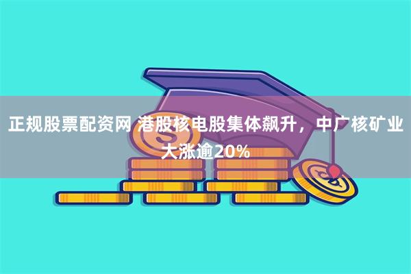 正规股票配资网 港股核电股集体飙升，中广核矿业大涨逾20%