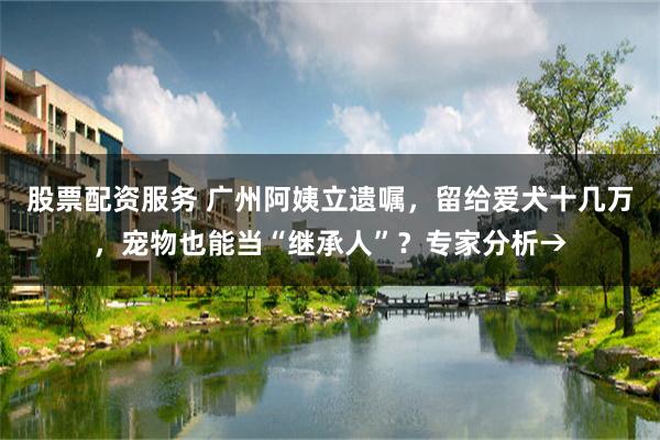 股票配资服务 广州阿姨立遗嘱，留给爱犬十几万，宠物也能当“继承人”？专家分析→