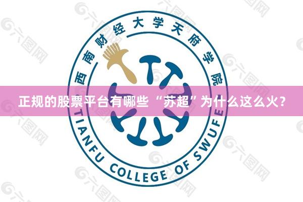 正规的股票平台有哪些 “苏超”为什么这么火？