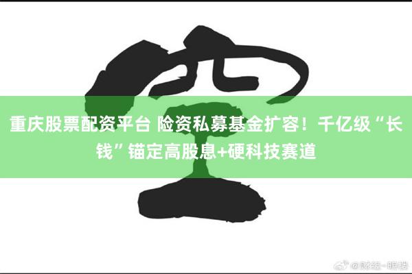 重庆股票配资平台 险资私募基金扩容！千亿级“长钱”锚定高股息+硬科技赛道