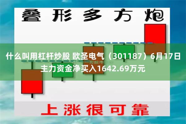 什么叫用杠杆炒股 欧圣电气(301187)6月17日主力资金净买入1642.69万元