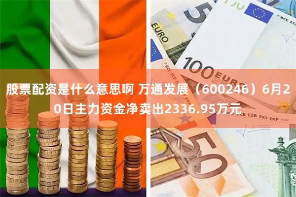 股票配资是什么意思啊 万通发展(600246)6月20日主力资金净卖出2336.95万元