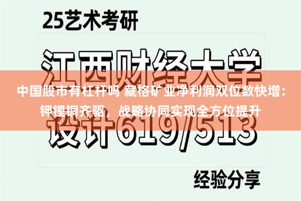 中国股市有杠杆吗 藏格矿业净利润双位数快增：钾锂铜齐驱，战略协同实现全方位提升