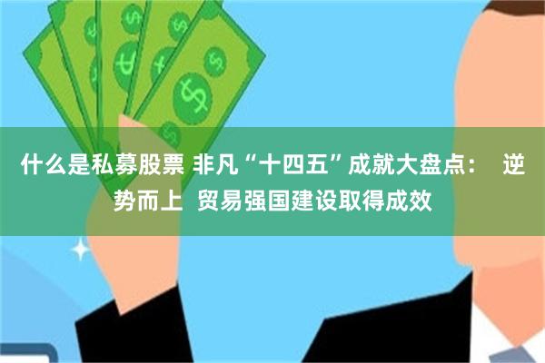 什么是私募股票 非凡“十四五”成就大盘点: 逆势而上 贸易强国建设取得成效