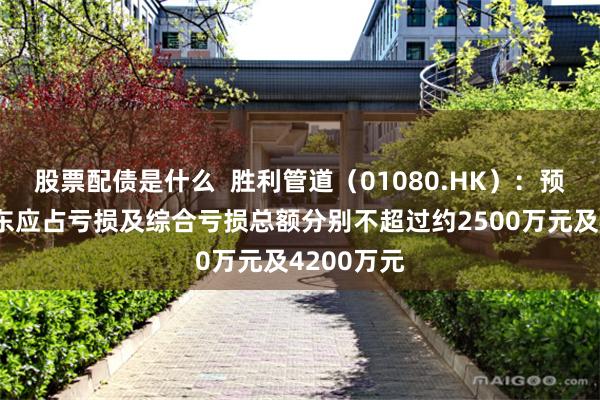 股票配债是什么  胜利管道（01080.HK）：预期中期股东应占亏损及综合亏损总额分别不超过约2500万元及4200万元