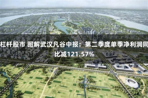 杠杆股市 图解武汉凡谷中报:第二季度单季净利润同比减121.57%