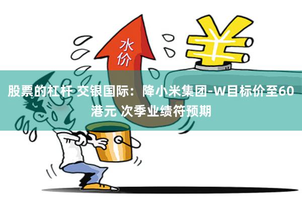 股票的杠杆 交银国际：降小米集团-W目标价至60港元 次季业绩符预期