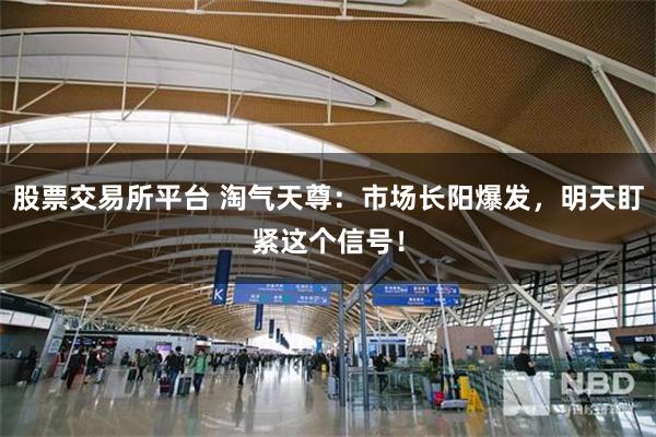 股票交易所平台 淘气天尊：市场长阳爆发，明天盯紧这个信号！