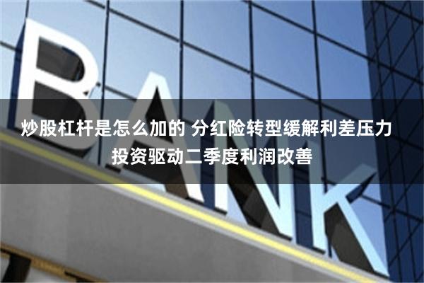 炒股杠杆是怎么加的 分红险转型缓解利差压力  投资驱动二季度利润改善