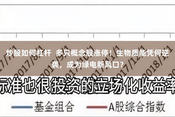 炒股如何杠杆  多只概念股涨停！生物质能凭何逆袭，成为绿电新风口？