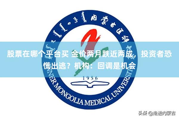 股票在哪个平台买 金价两月跌近两成，投资者恐慌出逃？机构：回调是机会