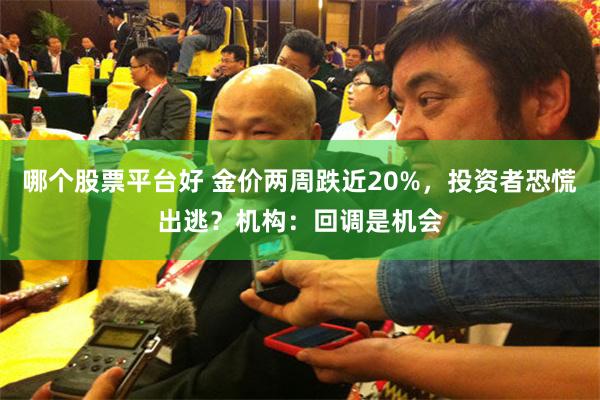 哪个股票平台好 金价两周跌近20%，投资者恐慌出逃？机构：回调是机会
