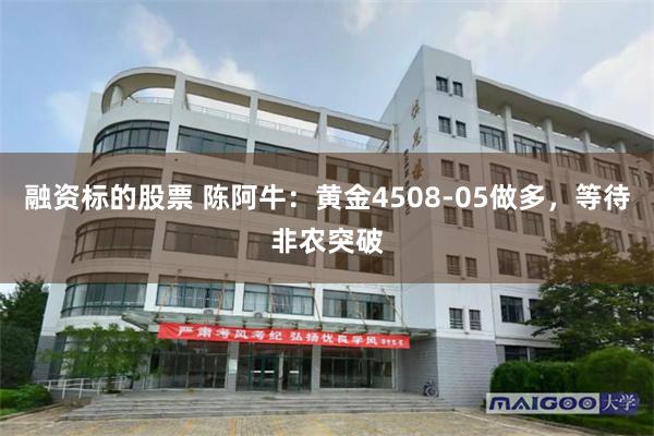 融资标的股票 陈阿牛：黄金4508-05做多，等待非农突破