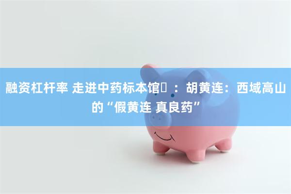 融资杠杆率 走进中药标本馆⑯：胡黄连：西域高山的“假黄连 真良药”