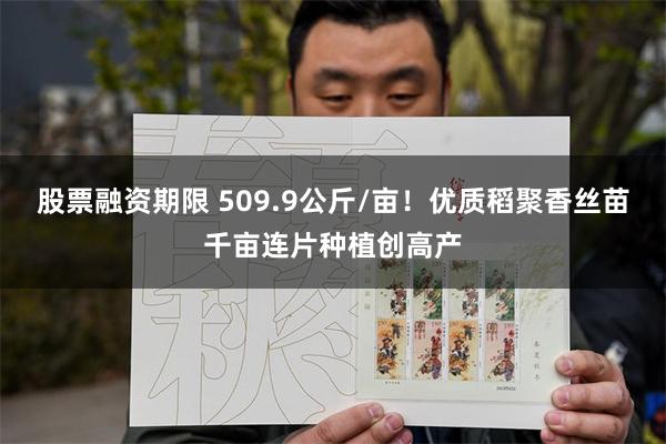 股票融资期限 509.9公斤/亩！优质稻聚香丝苗千亩连片种植创高产