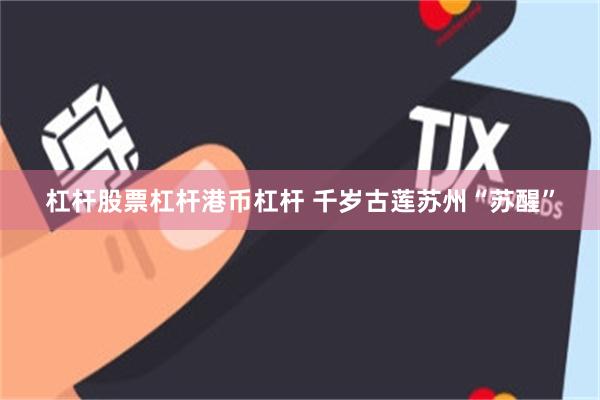 杠杆股票杠杆港币杠杆 千岁古莲苏州“苏醒”