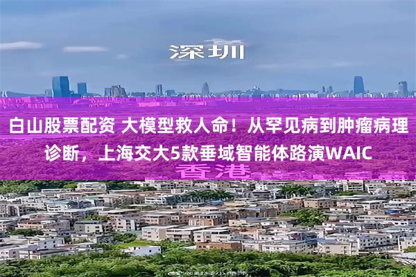 白山股票配资 大模型救人命！从罕见病到肿瘤病理诊断，上海交大5款垂域智能体路演WAIC