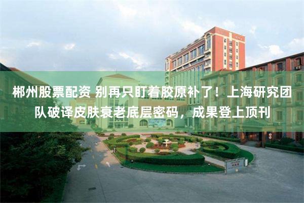 郴州股票配资 别再只盯着胶原补了！上海研究团队破译皮肤衰老底层密码，成果登上顶刊