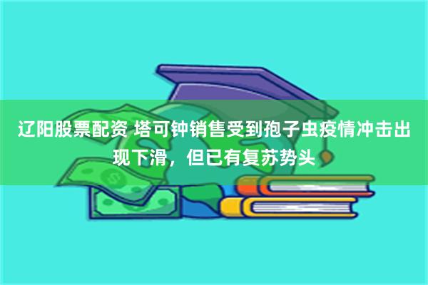 辽阳股票配资 塔可钟销售受到孢子虫疫情冲击出现下滑，但已有复苏势头