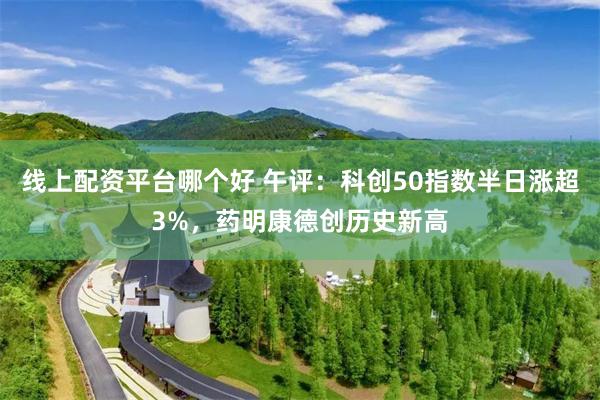 线上配资平台哪个好 午评：科创50指数半日涨超3%，药明康德创历史新高