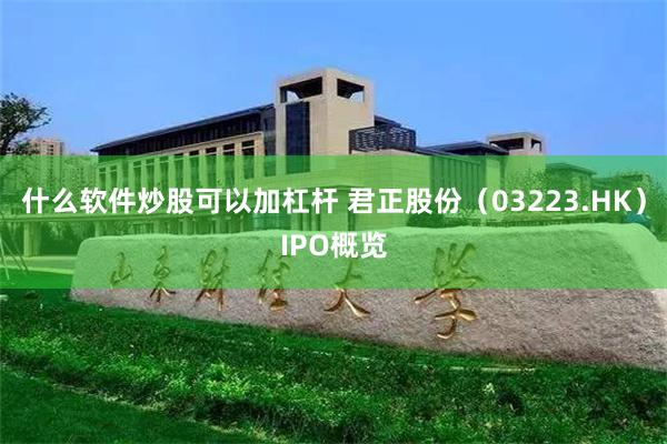 什么软件炒股可以加杠杆 君正股份（03223.HK）IPO概览