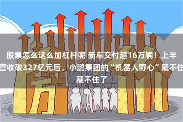 股票怎么这么加杠杆呢 新车交付超16万辆！上半年营收破327亿元后，小鹏集团的“机器人野心”藏不住了