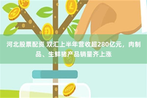 河北股票配资 双汇上半年营收超280亿元,肉制品、生鲜猪产品销量齐上涨