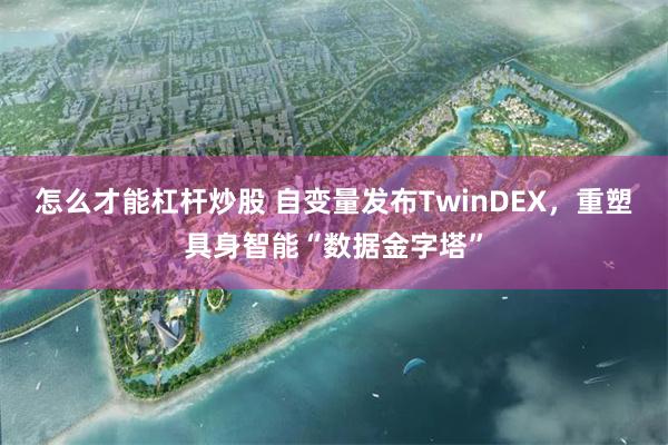 怎么才能杠杆炒股 自变量发布TwinDEX,重塑具身智能“数据金字塔”
