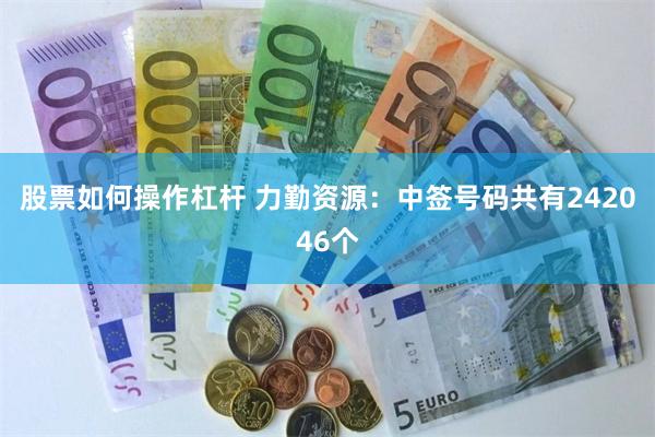 股票如何操作杠杆 力勤资源：中签号码共有242046个