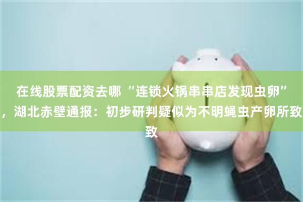 在线股票配资去哪 “连锁火锅串串店发现虫卵”，湖北赤壁通报：初步研判疑似为不明蝇虫产卵所致