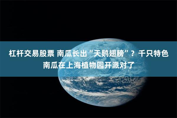 杠杆交易股票 南瓜长出“天鹅翅膀”？千只特色南瓜在上海植物园开派对了