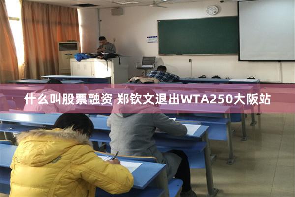 什么叫股票融资 郑钦文退出WTA250大阪站